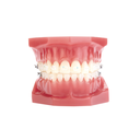 Set safir ClearViz+ Mini MBT .022