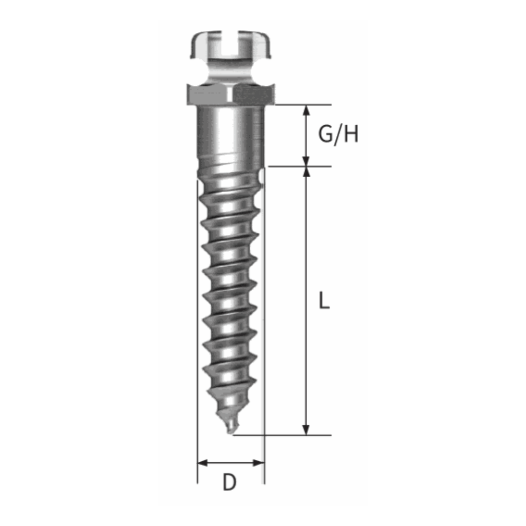 20x mini implanturi OrthAnchor tip bracket + instrumentar