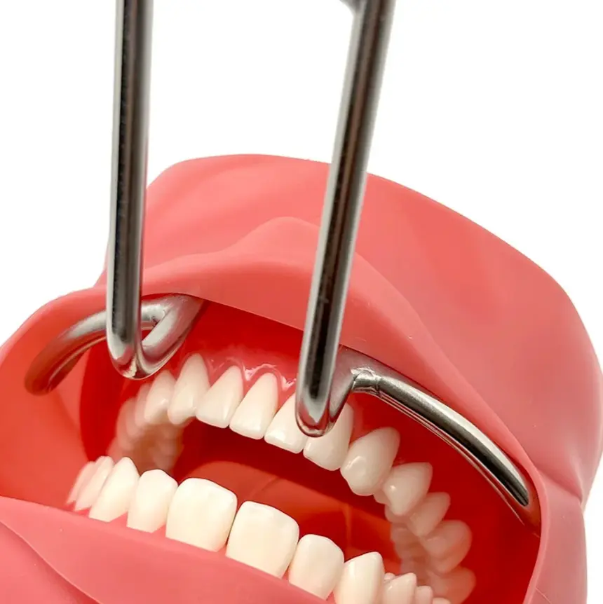 Screenshot 2026-04-07 090220.webp