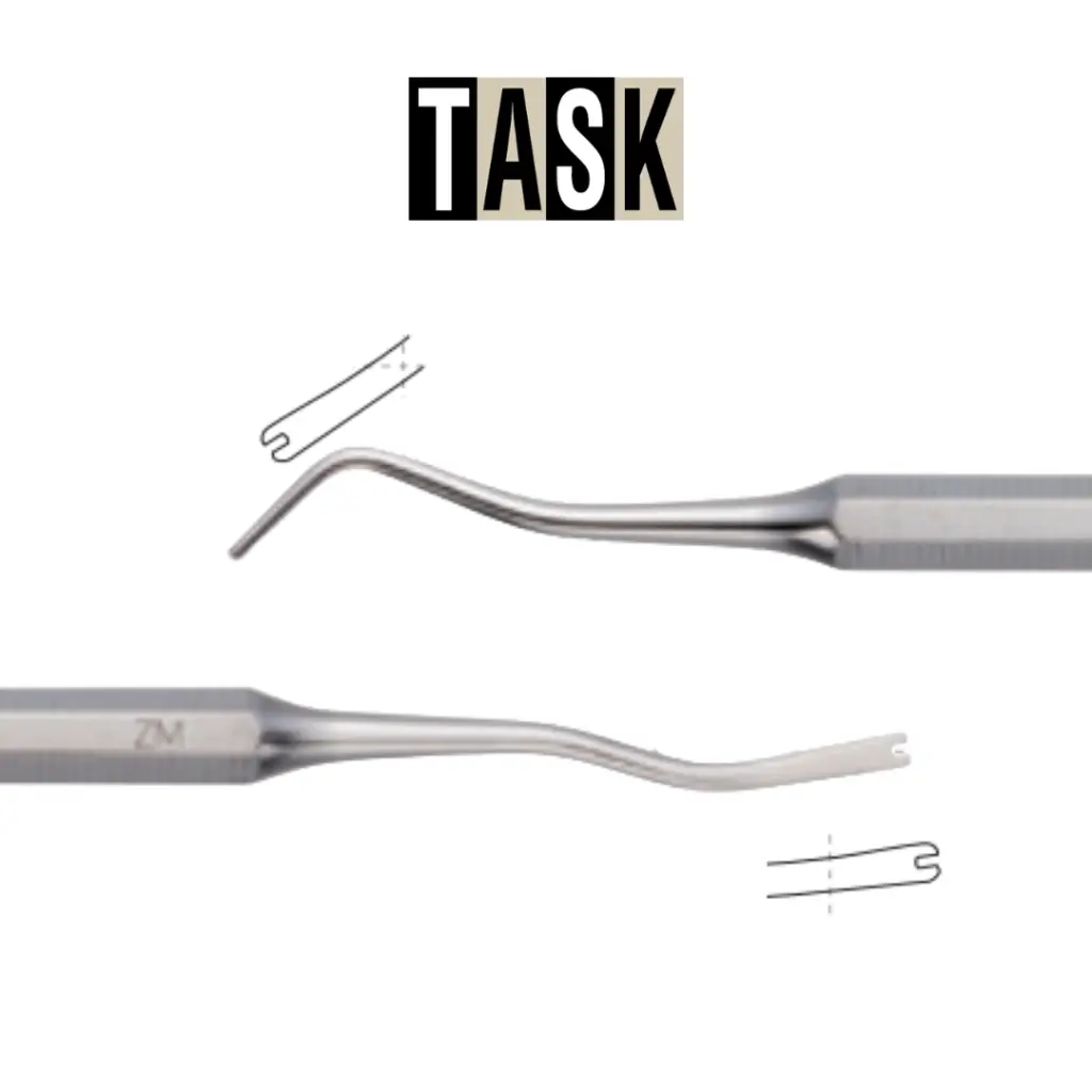 edit task (29).webp
