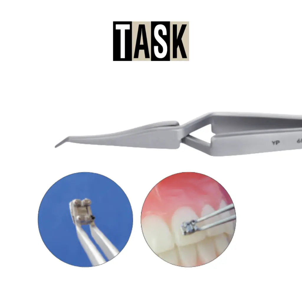 edit task (31).webp