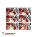 ortho strips central 2.webp