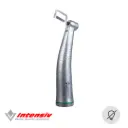Piesa de stripping Intensiv Swingle fara lumina
